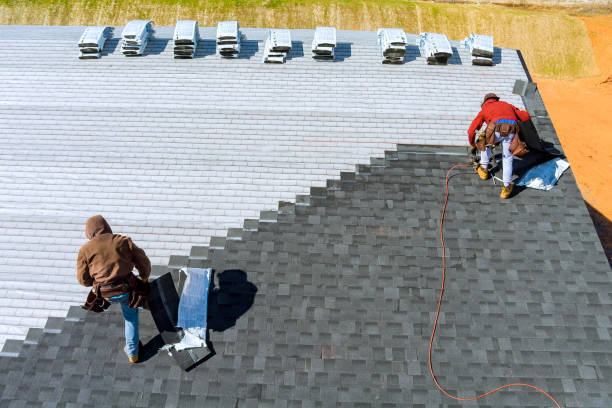 Best Roof Gutter Cleaning  in Russell, KY